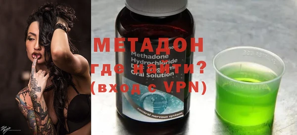 индика Дмитриев