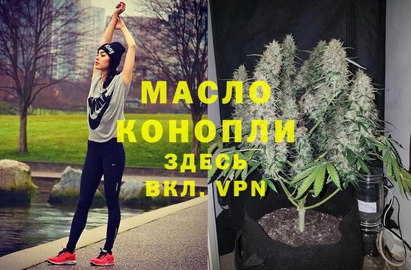 индика Дмитриев
