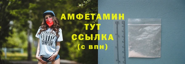индика Дмитриев