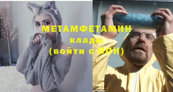 индика Дмитриев